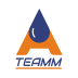 A Team 4 Life